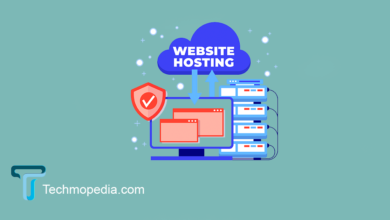 Comparison table of popular web hosting providers including Cloudways, Domain.com, Bluehost, GoDaddy, IONOS, and HostPapa, featuring starting price, top features, uptime, and customer support